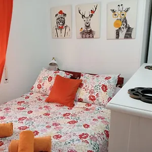  Apartamento Apartamento Con Encanto 'larios Studio' España